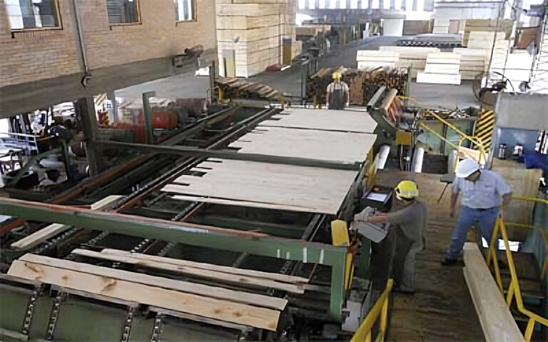 Señales del Gobierno de su interés por la forestoindustria