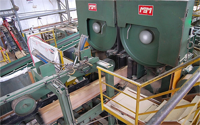 La industria de la madera y el mueble en el rompecabezas del desarrollo argentino