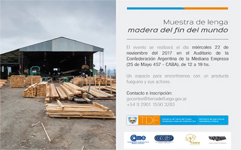 Tierra del Fuego relanza la madera de lenga en el mercado nacional
