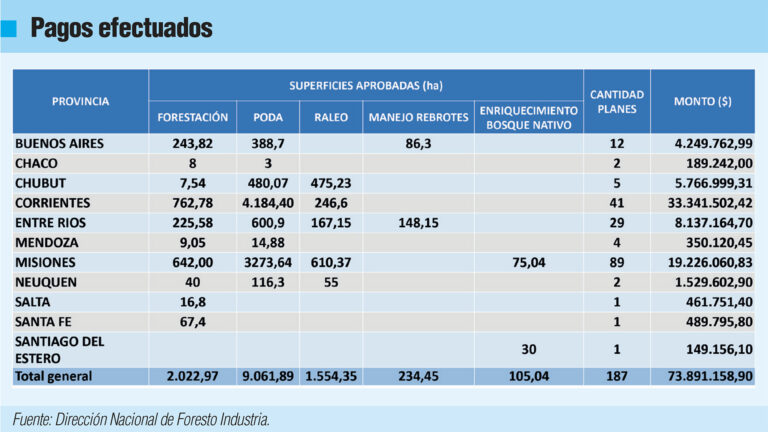 Política forestoindustrial buscará mayor eficiencia y aumento de la demanda
