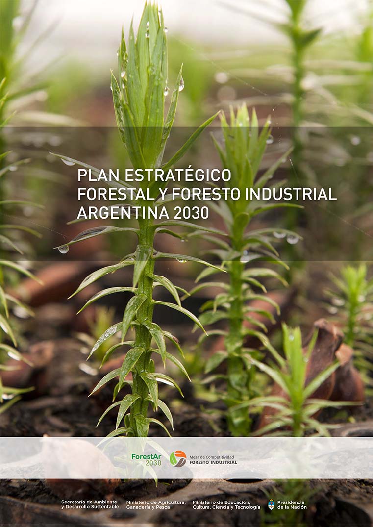 Plan Forestal y Foresto Industrial 2030