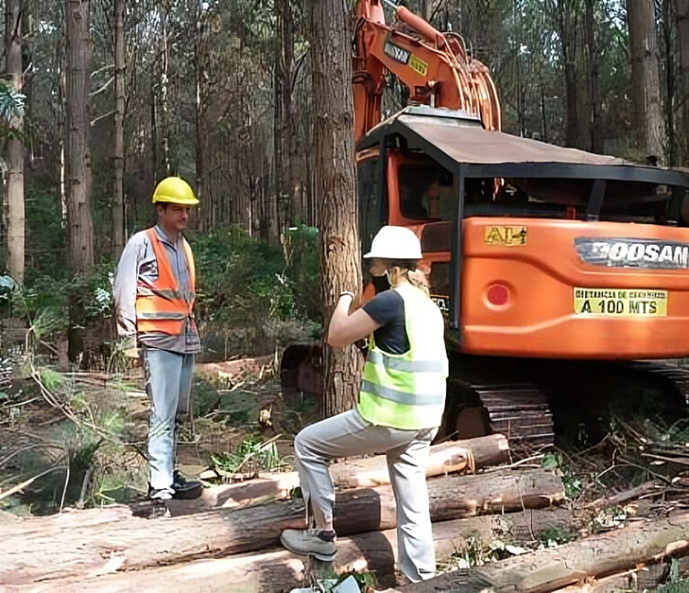 Grupos de pequeños y medianos productores se unen para lograr certificación PEFC en forestaciones, madera y subproductos