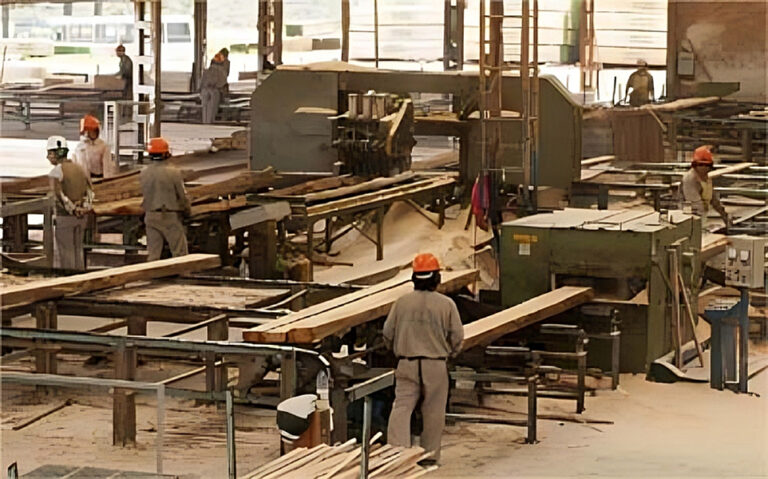 Cómo obtener mayor volumen y mejor precio de la madera en el proceso de aserrado