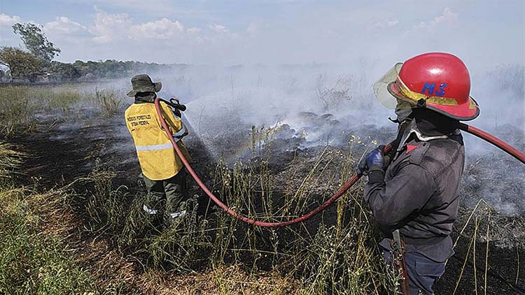 Por los incendios en el NEA se perdieron 40.000 hectáreas de forestación