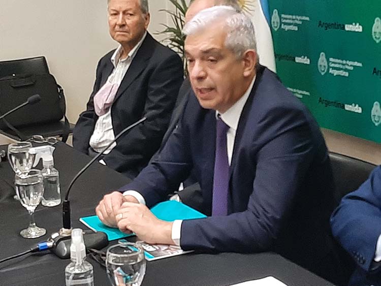 Anunciaron un programa para plantar 100 millones de árboles en 2022