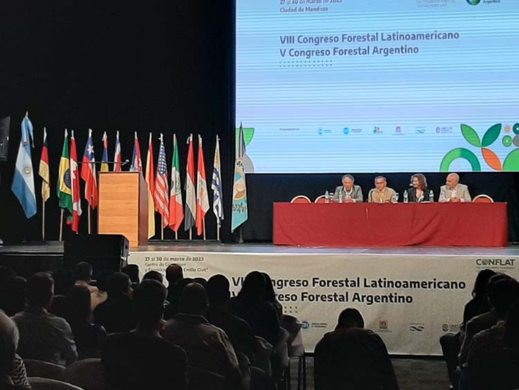 El cambio climático y su consecuencia en los ecosistemas terrestres fue el tema central del encuentro que analizó el papel de los bosques hoy y a futuro