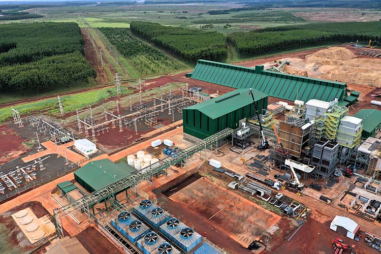 Gana impulso el cambio de matriz energética y se duplican las centrales por biomasa en el país