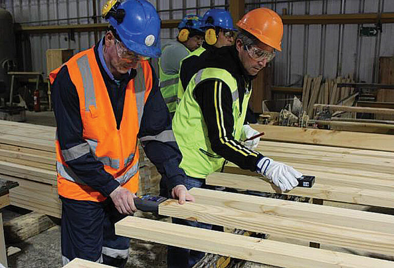 Buscan actualizar normas para madera de pino para uso estructural