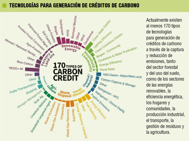 En un año se quintuplicó la superficie para créditos de bonos de carbono