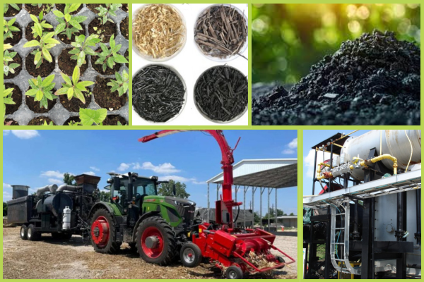 El biochar se integra al negocio forestoindustrial