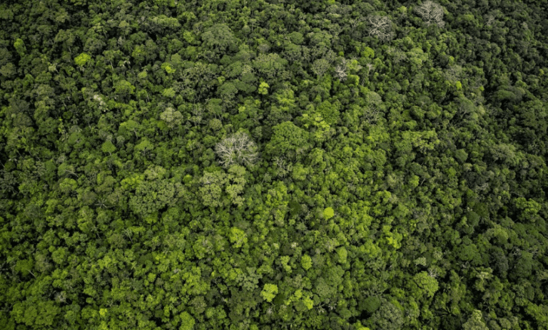 Industriales colombianos abordaron el papel del carbono en la bioeconomía