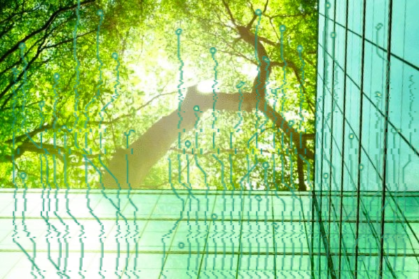 La transición digital acusada de descuidar los retos medioambientales