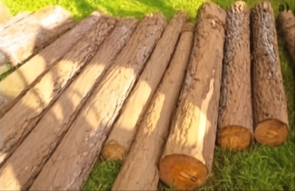 Rollos clasificados