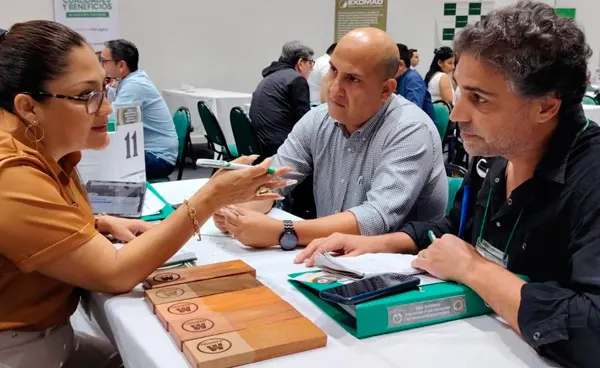 Rueda Forestal en Bolivia  genera $US 22,6 millones  en negocios