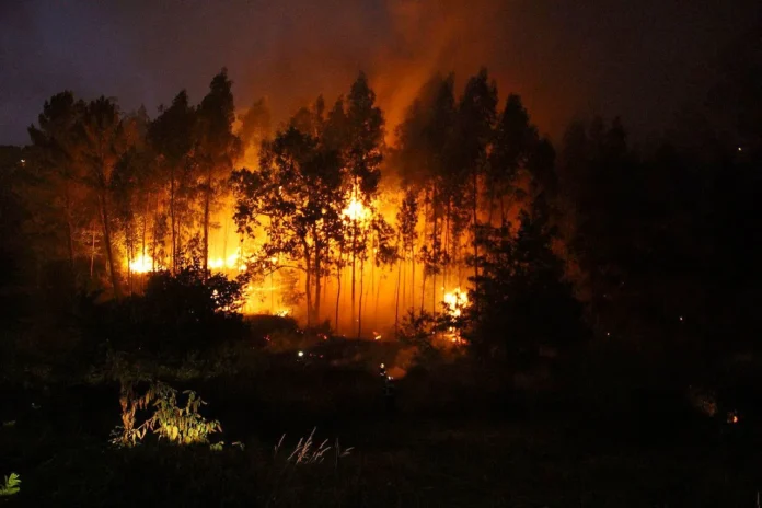 Incendios forestales