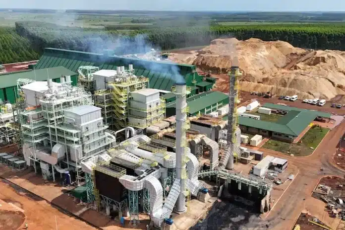 Biomasa en Argentina