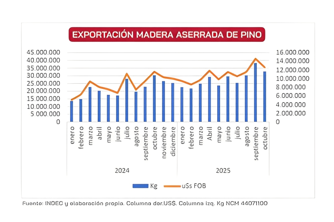 Exportación madera de pino