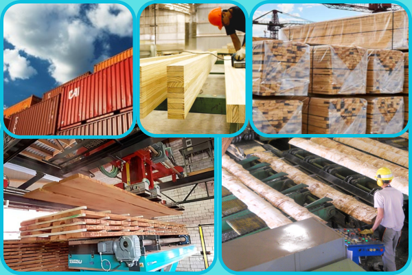 Portada Cetrángolo Mercado aserraderos