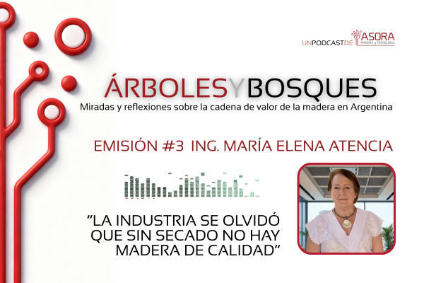 María Elena Atencia secado de madera