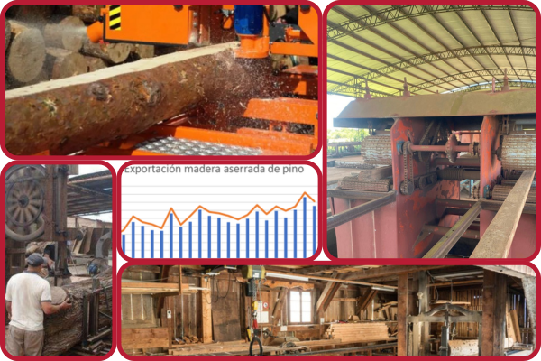 Aserraderos y baja escala