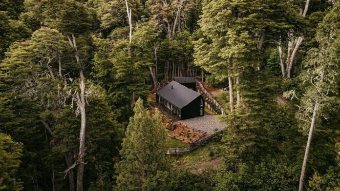 Tiny house en la Patagonia