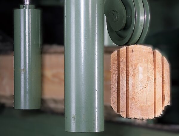 La tecnología juega un rol fundamental en la forestoindustria del siglo 21