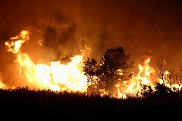 Incendios forestales